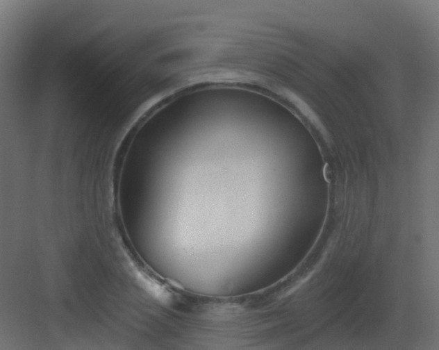 X0000082960837200702081713
