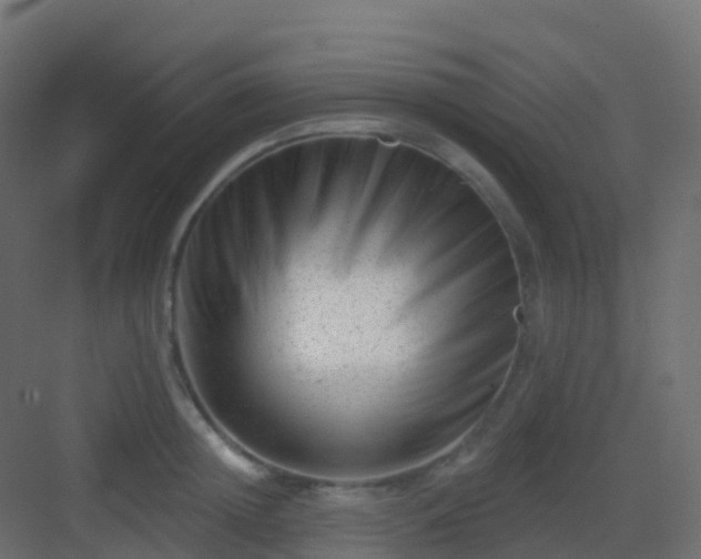 X0000082960852200702081714