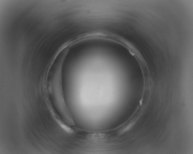 X0000082960858200702081714