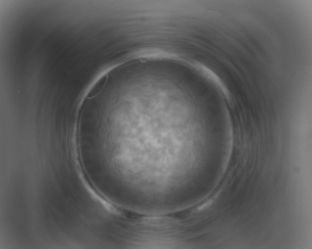 X0000082960863200702081714