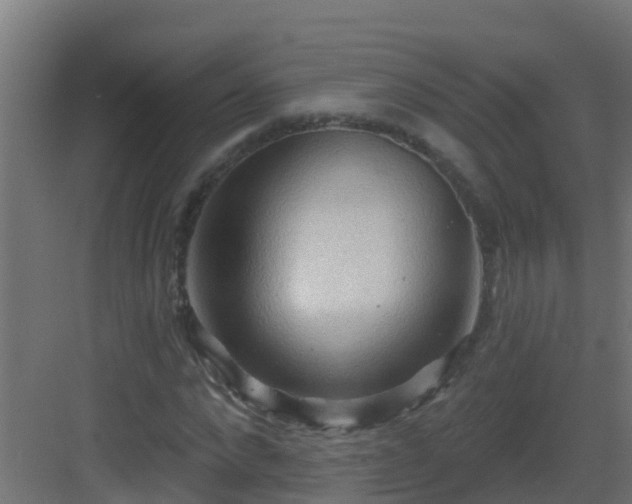 X0000082960872200702081713