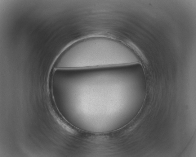X0000082960884200702081713