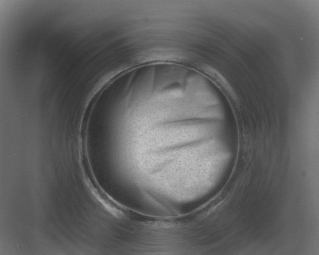 X0000082960890200702081713