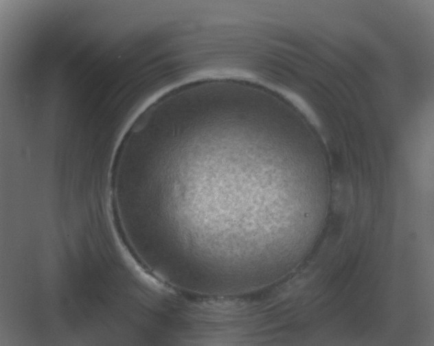 X0000082960895200702081713
