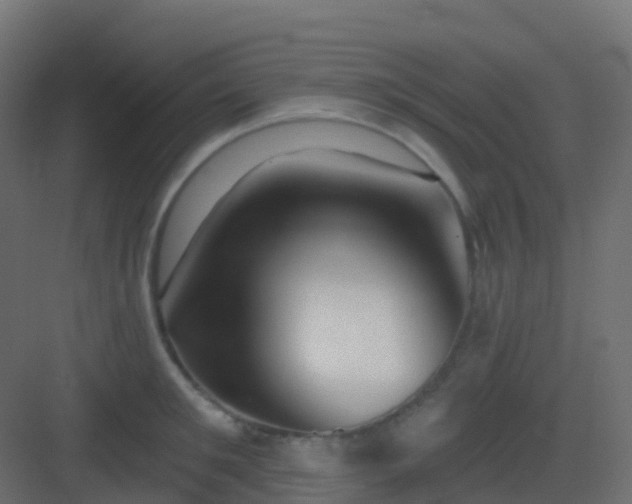 X0000082960901200702081712
