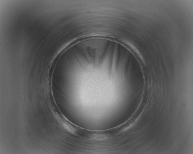 X0000082960933200702081712