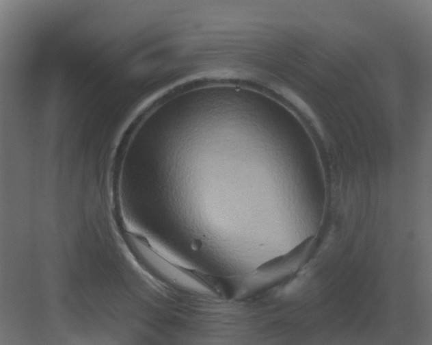 X0000082960935200702081712