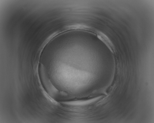X0000082960946200702081712