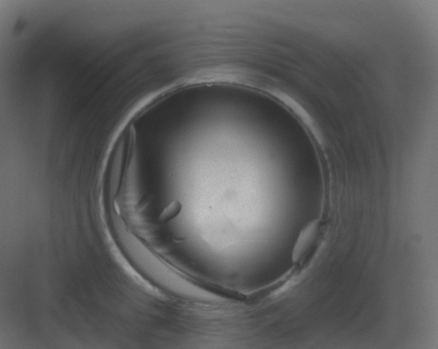 X0000082960949200702081712