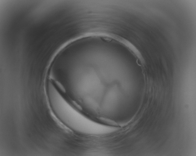 X0000082960958200702081712