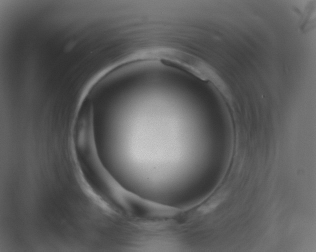 X0000082960960200702081712