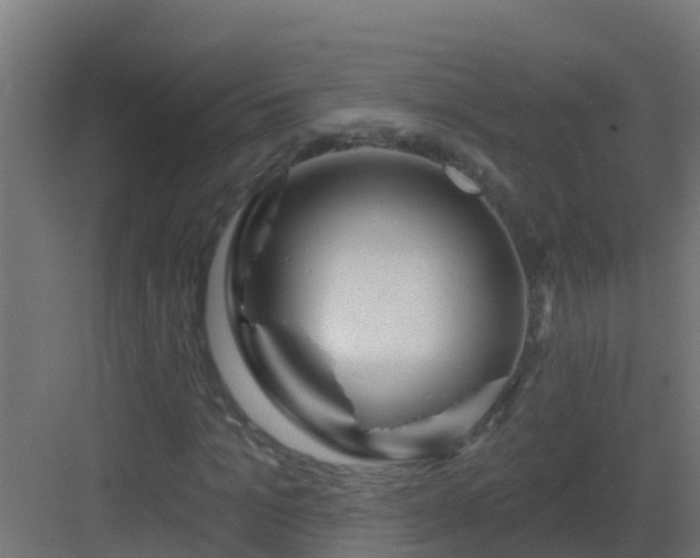 X0000082960965200702081711
