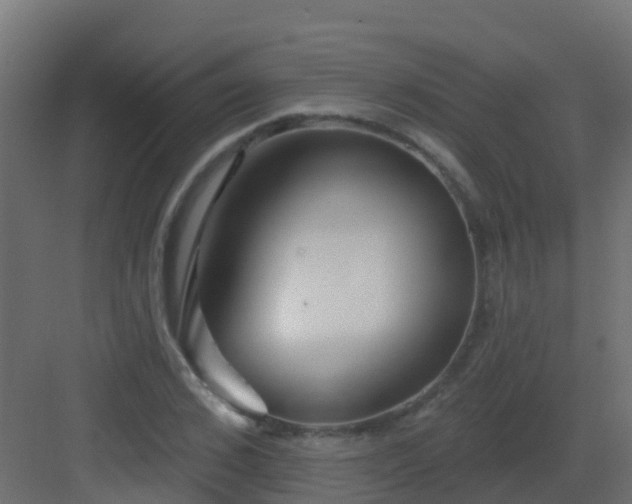 X0000082960976200702081711
