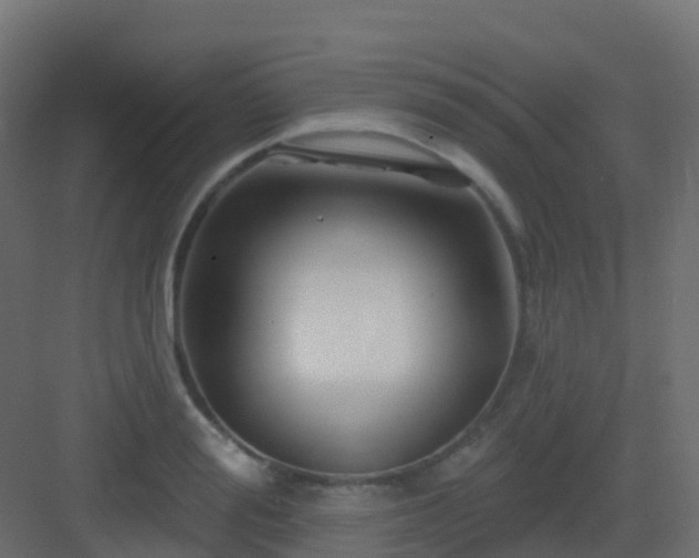 X0000082960988200702081711