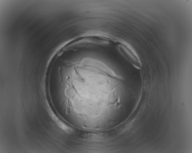 X0000082960995200702081711