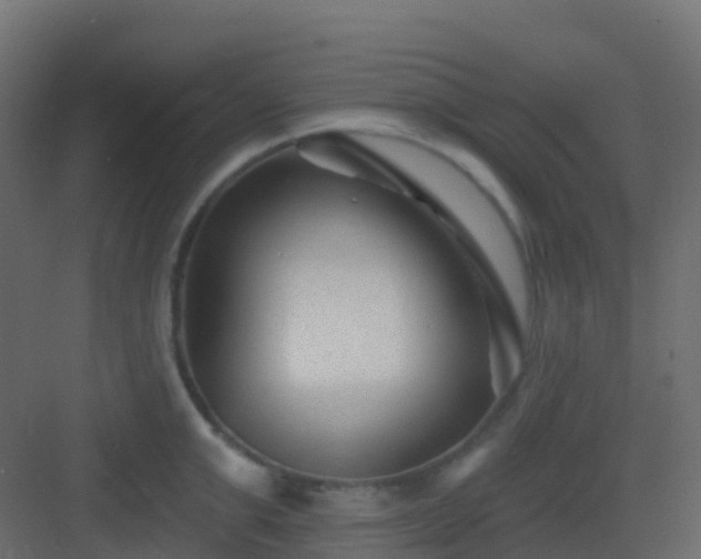 X0000082960999200702081711