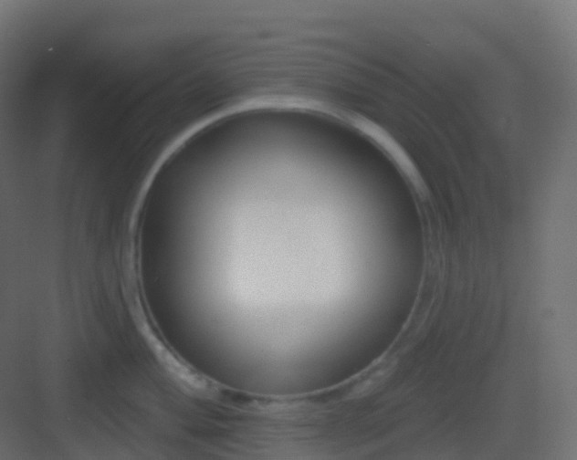 X0000082961004200702081711