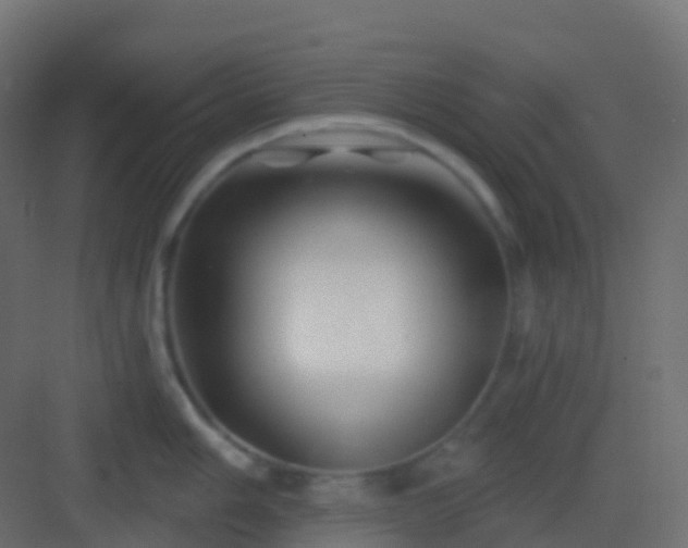 X0000082961006200702081711