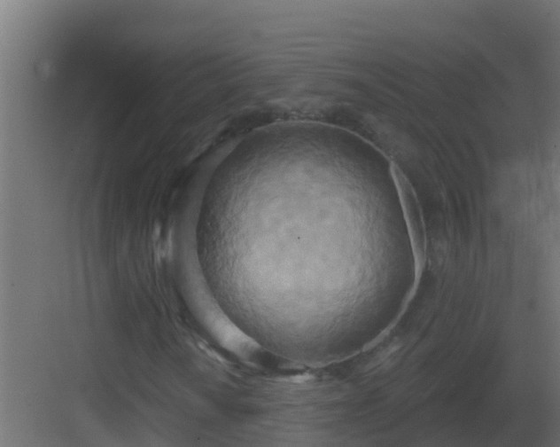 X0000082961010200702081710