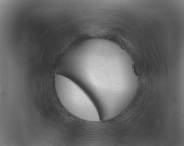 X0000082961012200702081710