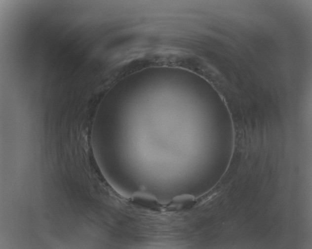 X0000082961013200702081710