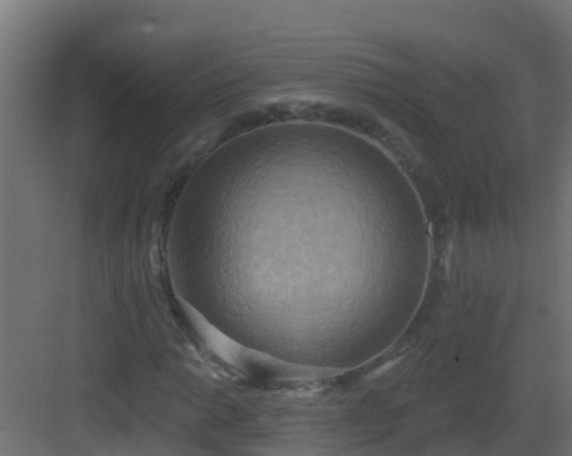 X0000082961014200702081710