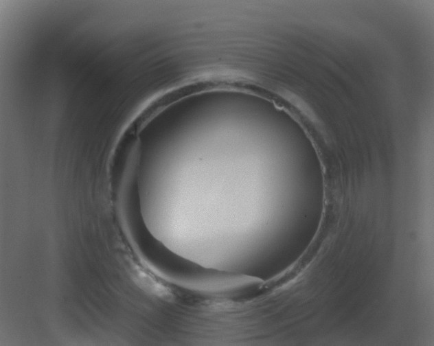 X0000082961022200702081710