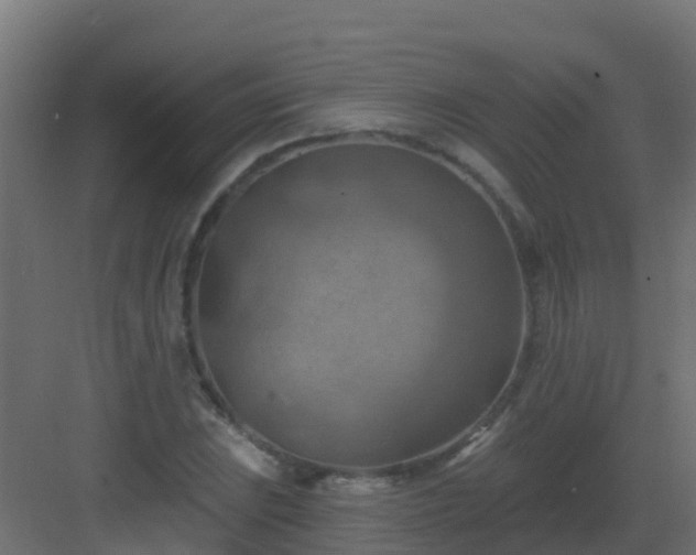 X0000082961023200702081710