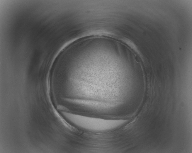X0000082961032200702081710