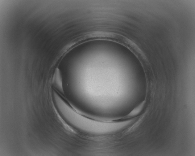 X0000082961033200702081710