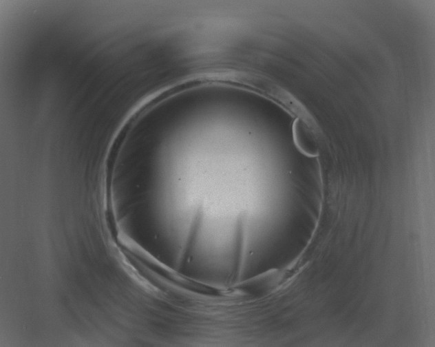X0000082961036200702081710