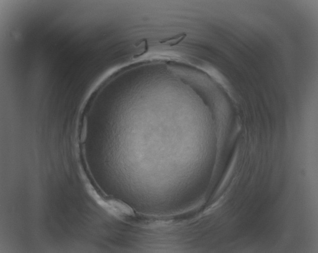 X0000082961038200702081710
