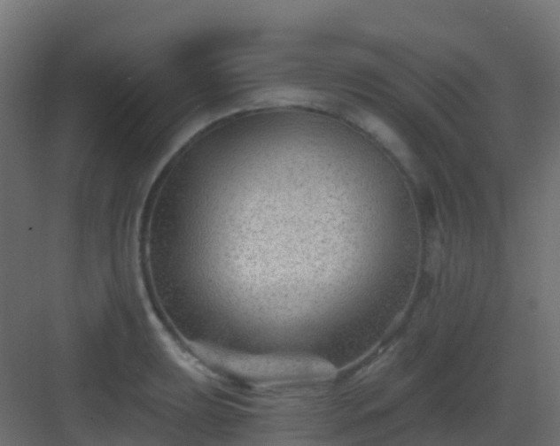 X0000082961039200702081710