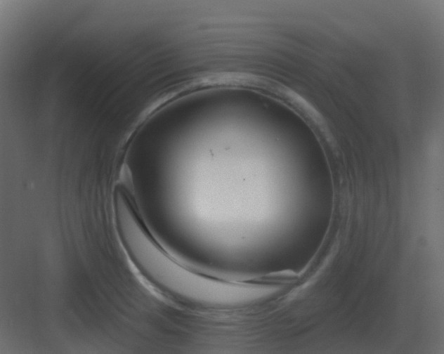 X0000082961041200702081710