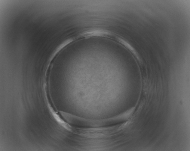 X0000082961042200702081710