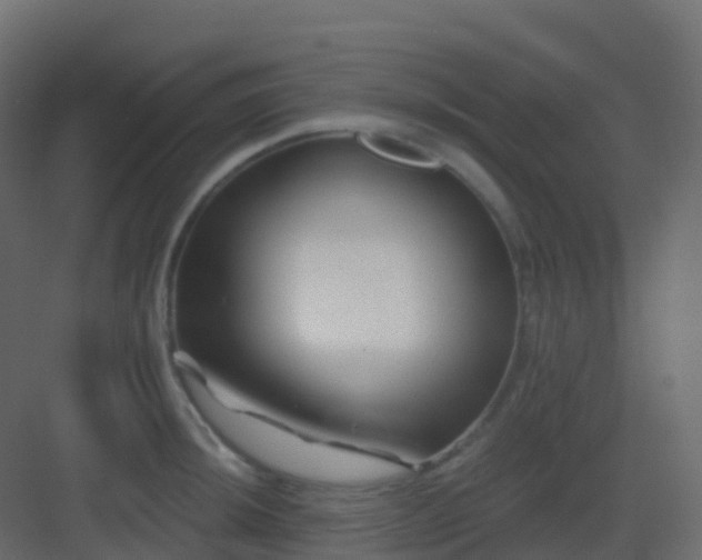 X0000082961044200702081710