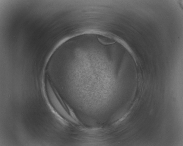 X0000082961048200702081711