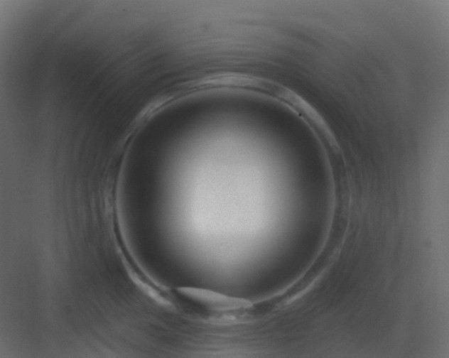 X0000082961049200702081711
