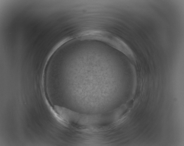 X0000082961050200702081711