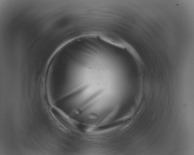X0000082961052200702081711