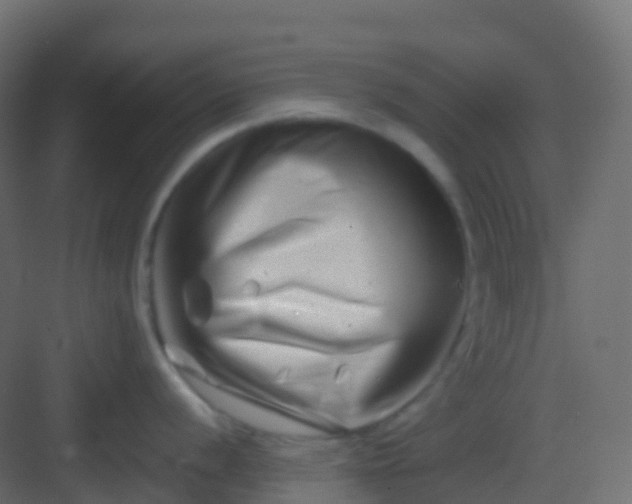 X0000082961056200702081711