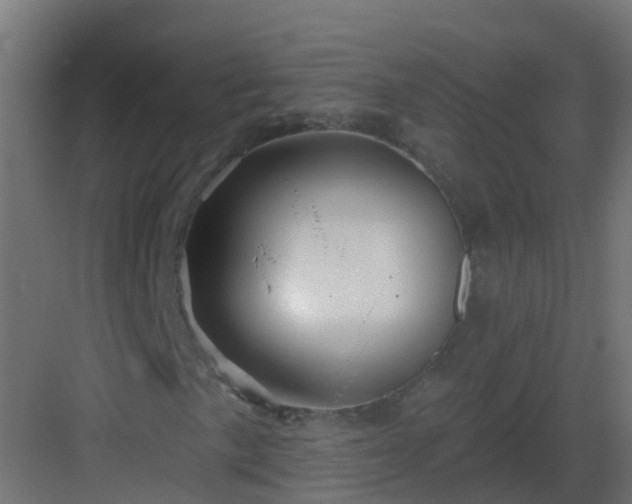 X0000082961057200702081710