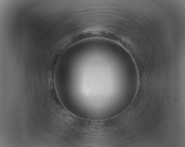 X0000082961062200702081710