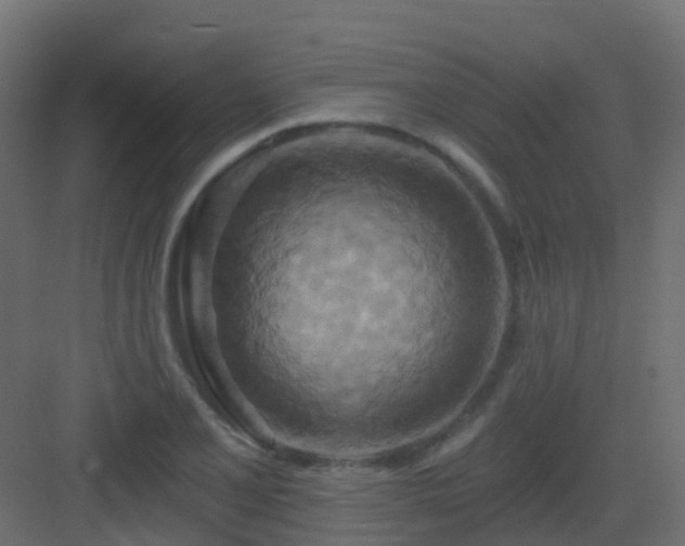 X0000082961077200702081709