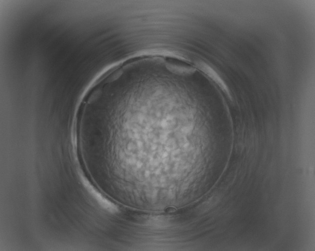 X0000082961084200702081709