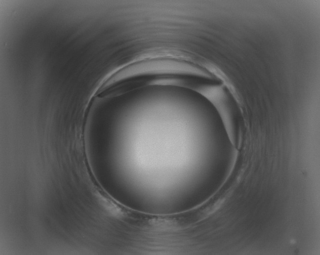 X0000082961089200702081709