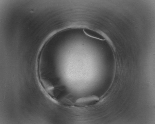 X0000082961096200702081709