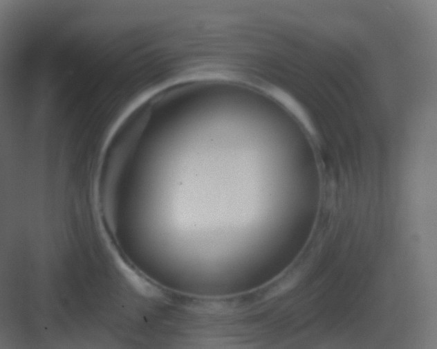 X0000082961101200702081709