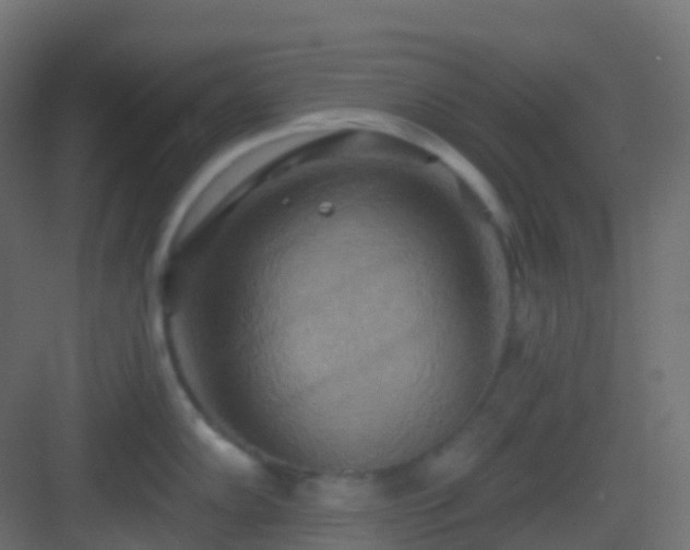 X0000082961102200702081709