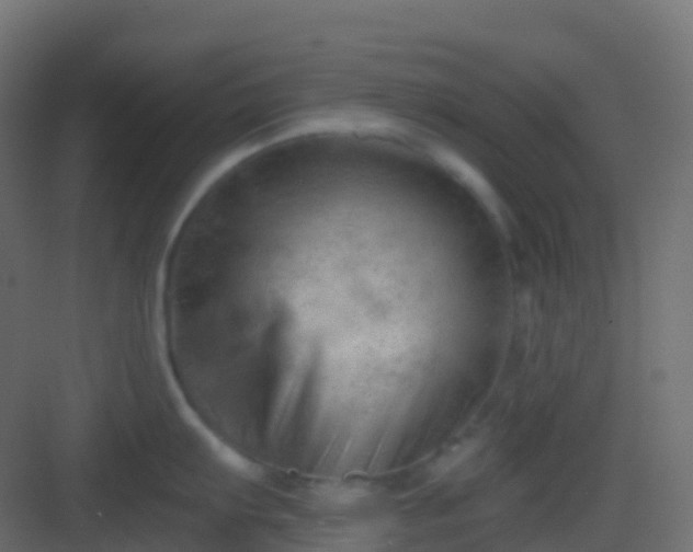 X0000082961103200702081709